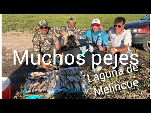 Camping la fábrica laguna de Malincue y muchos piques  