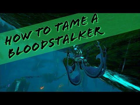 HOW TO EASILY TAME A BLOODSTALKER!!!