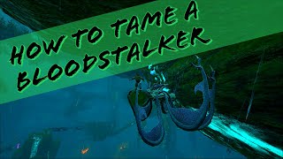HOW TO EASILY TAME A BLOODSTALKER!!!