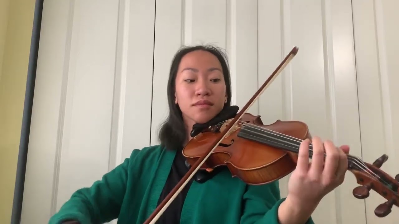 Promotional video thumbnail 2 for Violinist