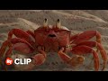 The Little Mermaid Movie Clip - The Scuttlebutt (2023)