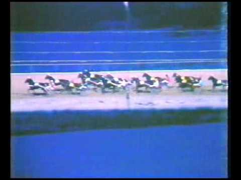 Smedträffen 1985 - Meadow Road / Torbjörn Jansson