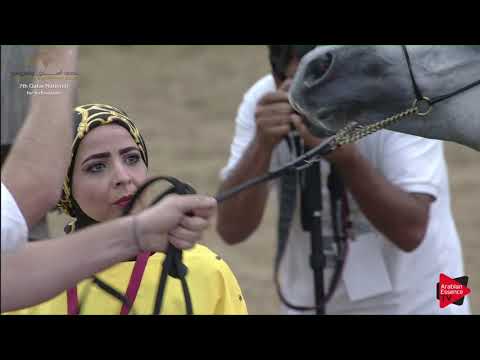 N.144 ATIQ AL KHEESA - 2019 Qatar Individuals - Yearling Colts (Class 4B) .mp4