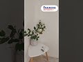 Видео превью