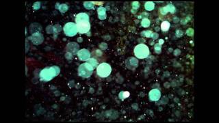 story ghost a   Sound Atlas