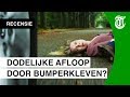 Bumperkleef - DE RECENSIE