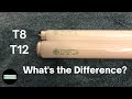 T8 vs. T12 Fluorescent Lamps - What's the Difference? - rapidstart_12