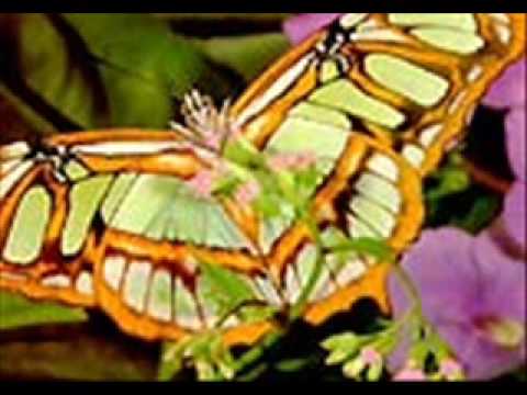 Adrian Shaposhnikov Sonata for harp and flute part II