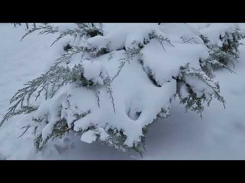 Gaziantep'ten Kar Yağışı sonrası Görüntüler