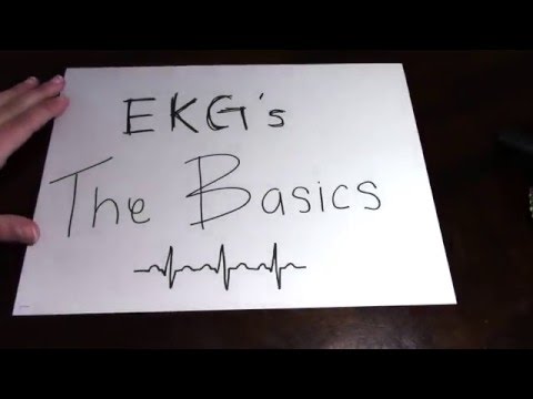 EKG: The Basics