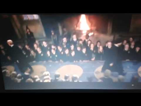 La vera storia di harry potter