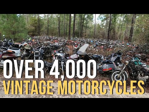 Epic Salvage Yard Adventure at Escambia Motorcycles - Vintage Bike Heaven! #vintagemotorcycles