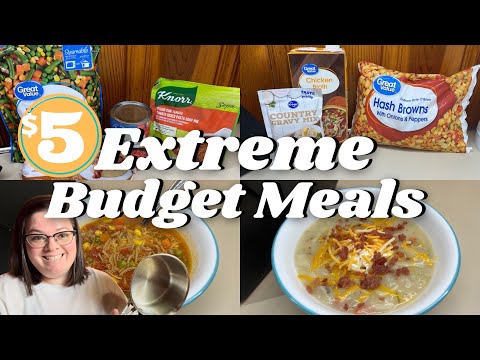 $5 😱 EXTREME BUDGET DINNERS || SOUP EDITION || FEEDING YOUR FAMILY ON A BUDGET
