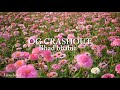 Bhad Bhabie OG CRASHOUT Clean Lyrics