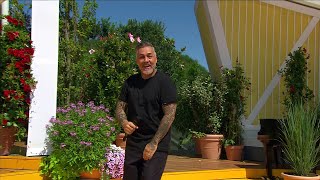 Mike Leon Grosch - Doch du willst mich (Immer wieder Sonntags 29.06.2025)