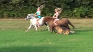 the best time of my life - Summer☀