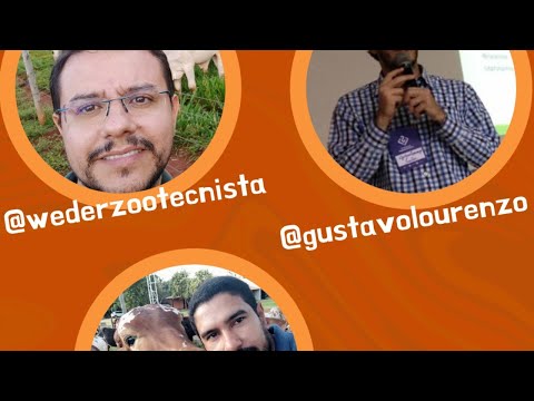 Live dia 16/07 - Gestão da Reprodução com Wilber Batuira