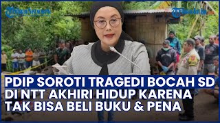 PDIP Soroti Tragedi Bocah SD di Ngada NTT, Singgung Kemiskinan Struktural sebagai Evaluasi Negara