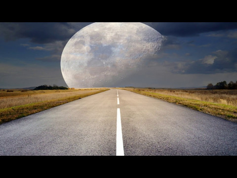 Shy Moon - Caetano Veloso
