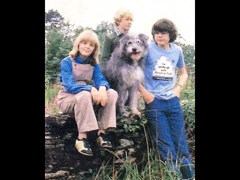 The Bagthorpe Saga (1981 British Family Series)