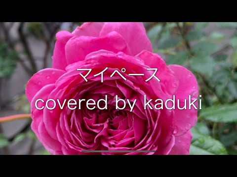 【夏月】マイペース/SunSet Swish【keep my pace】