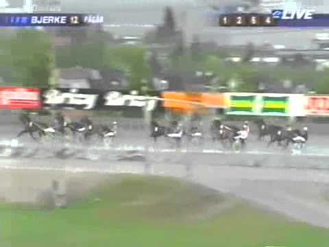 3 Ars Elite Bjerke 2011 -Brad de Veluwe