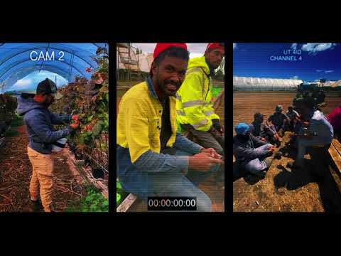 Young KG - Toxic Masculinity