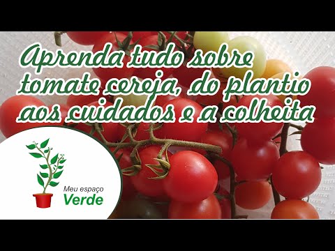 , title : 'Saiba tudo sobre tomates cereja do plantio a colheita'