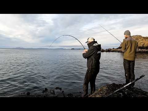 Maybe My BEST UK Shore Fishing Session, Yet!