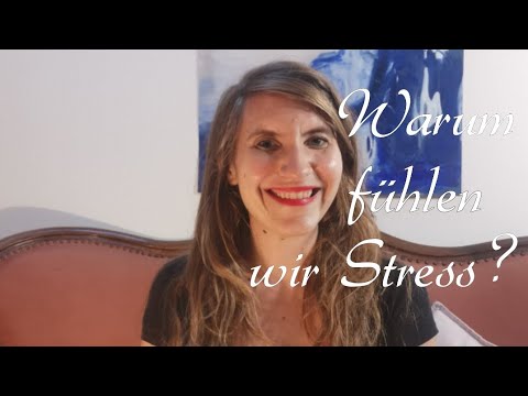 Stress und die Polyvagaltheorie