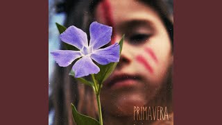 Primavera Music Video