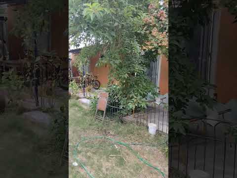 Britopolis 2022 BG(2)