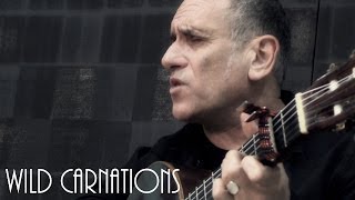 David Broza - Wild Carnations (Live at One On One session)