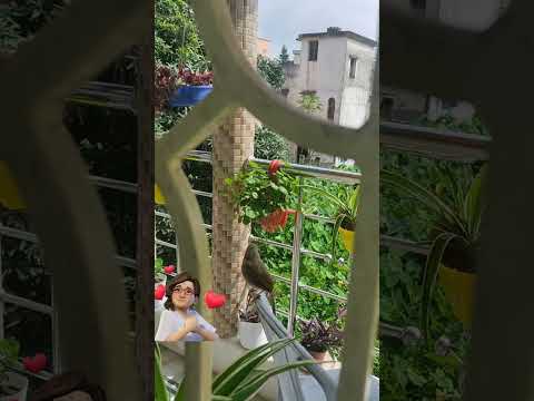 Flowers # #love # blooming #nature