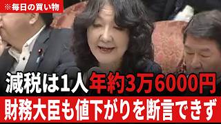 【消費税減税】「議論がされていないんですね」国民民主・田中健の追及に高市総理「二年後には元に戻す」と明言 店の値段は本当に下がるのか【鈴木憲和/片山さつき/林芳正/高市早苗】