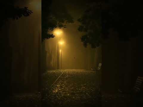 rainy night. #night#mansoon #beautful #edit #streetlights