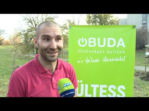 Budai Híradó 2018. november 8.