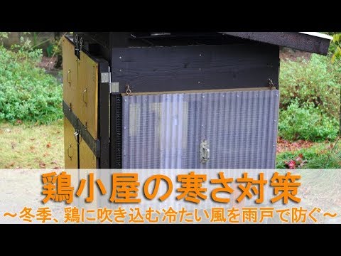 冬に雨が降ったときは鶏を屋内に入れるべきでしょうか？鶏小屋を雨から守るための 4 つの重要なヒント  庭園