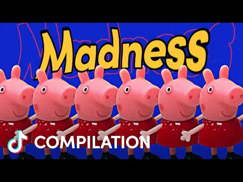 10 Minutes of Pure TikTok Madness | Compilation | TikTok