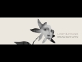 Bruno Sanfilippo · Lost & Found