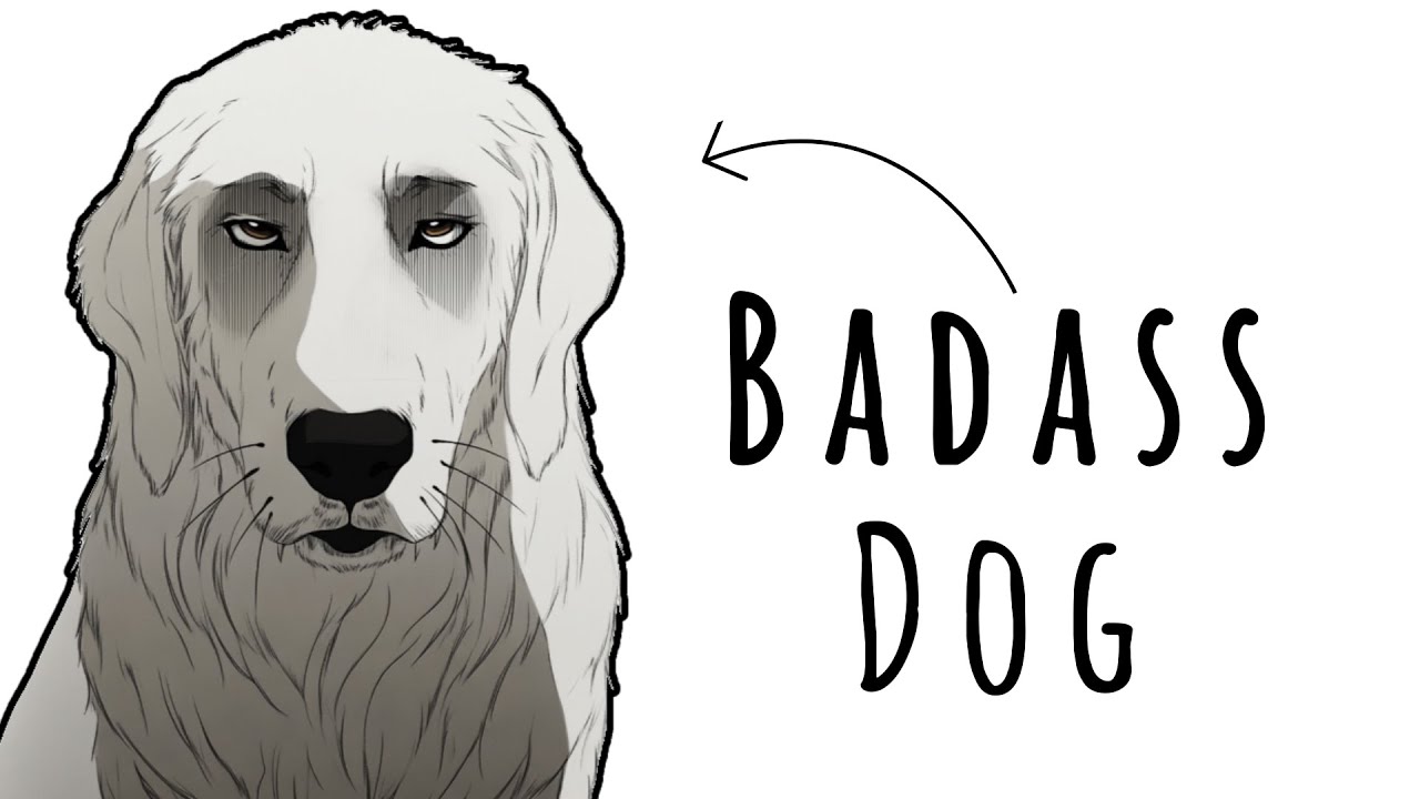Why the Anatolian Shepherd Dog is a Badass and Scary