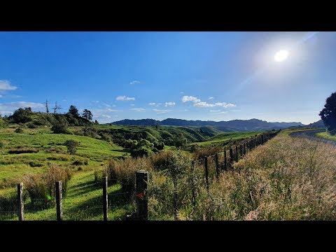 Te Araroa New Zealand 2019/2020 - Day 26: Hikiwiki Summit / km 830