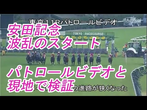 波乱の安田記念パトロールビデオ