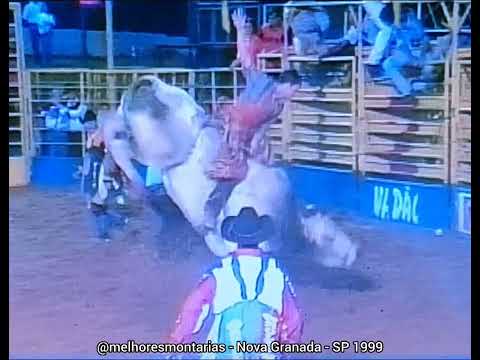 🇧🇷 Touro Silverado - Rodeio de Nova Granada 1999 #rodeio #rodeo