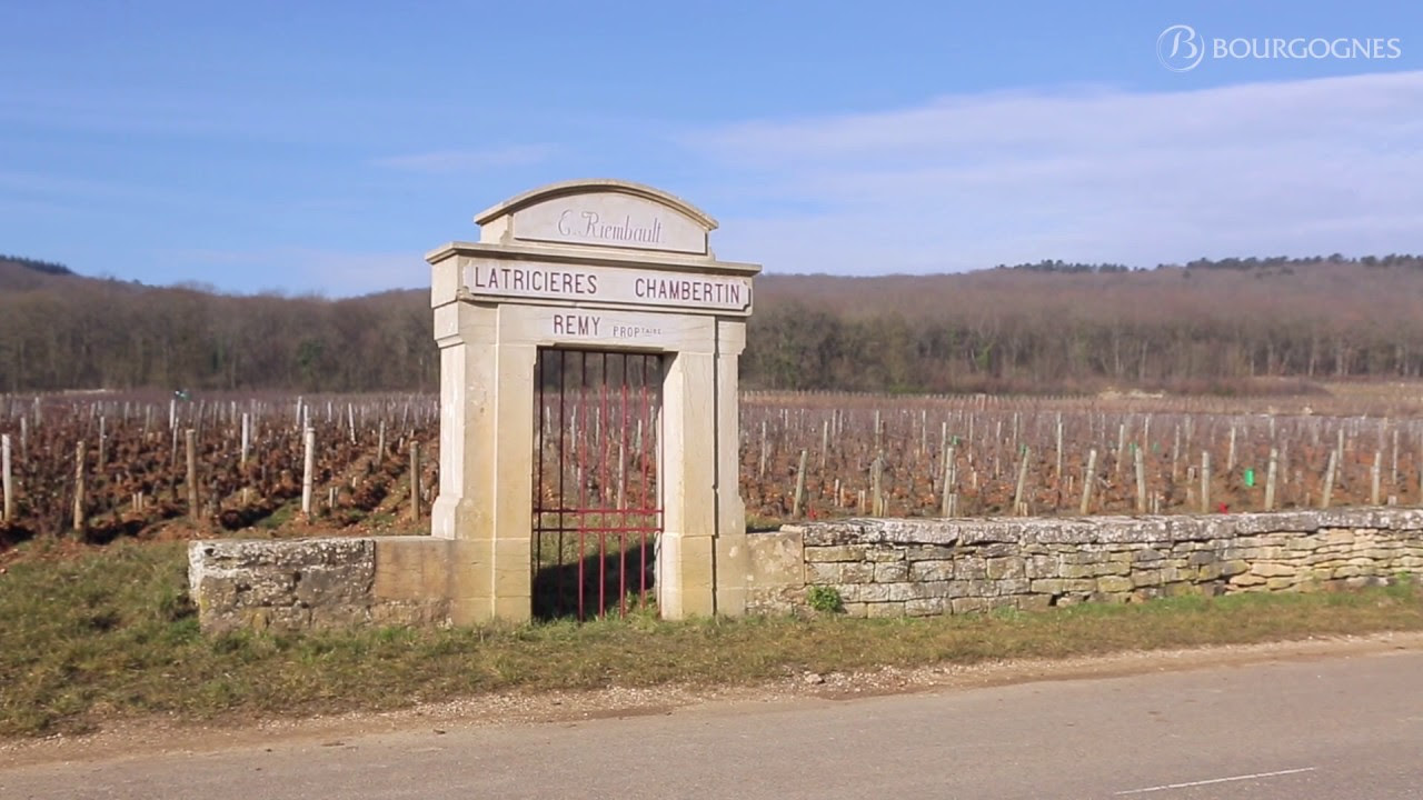 Unveiling the Enchanting World of Côte de Nuits [2024]