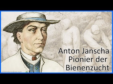 Anton Janscha (1734 - 1773) Pionier der Bienenzucht, Weltbienentag