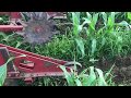 Cultivating Corn On A Wisconsin Organic Dairy Farm The Second Pass