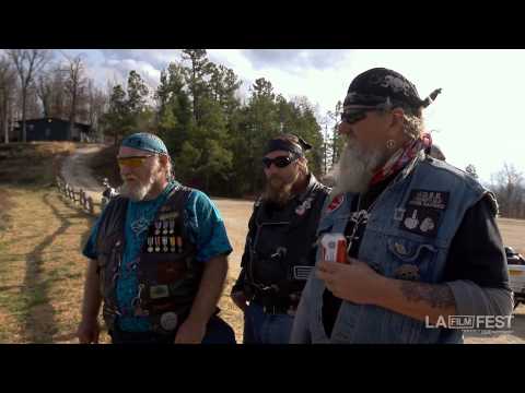 Programmer Picks - Stray Dog