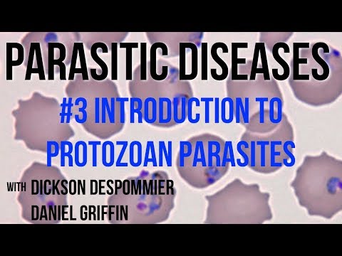 Parasitic Diseases Lectures #3: Introduction to Protozoan Parasites