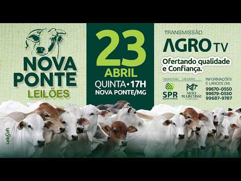 NOVA PONTE LEILÕES - 23/04/2026